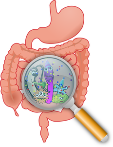 Digestive problems – bloating, discomfort? Don’t ignore the symptoms