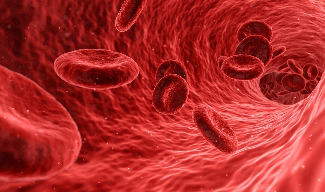 Immune System Support