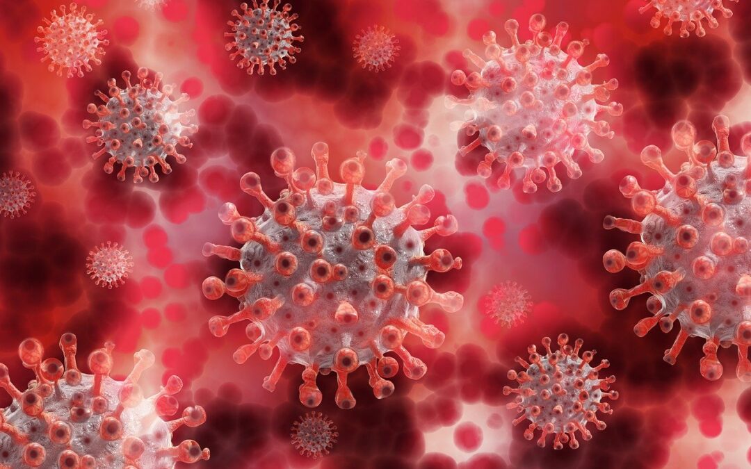 Immune Health During COVID-19 (Coronavirus) Pandemic