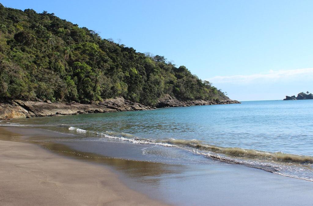 EARTHING – the science behind it.