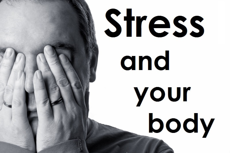 STRESS – and what it can do to your body