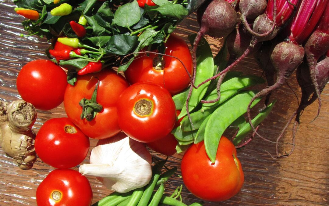 How Important are Vegetables | Why we should eat more